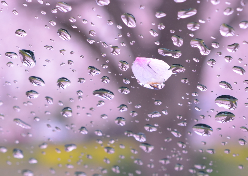 雨の一片