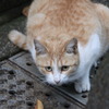 こっち見るなよ