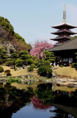 浅草寺　特別拝観