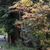 道