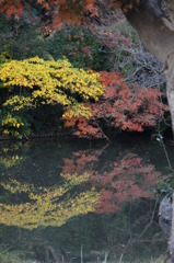 水面として