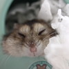 至福のひと時
