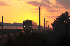 田舎の風景