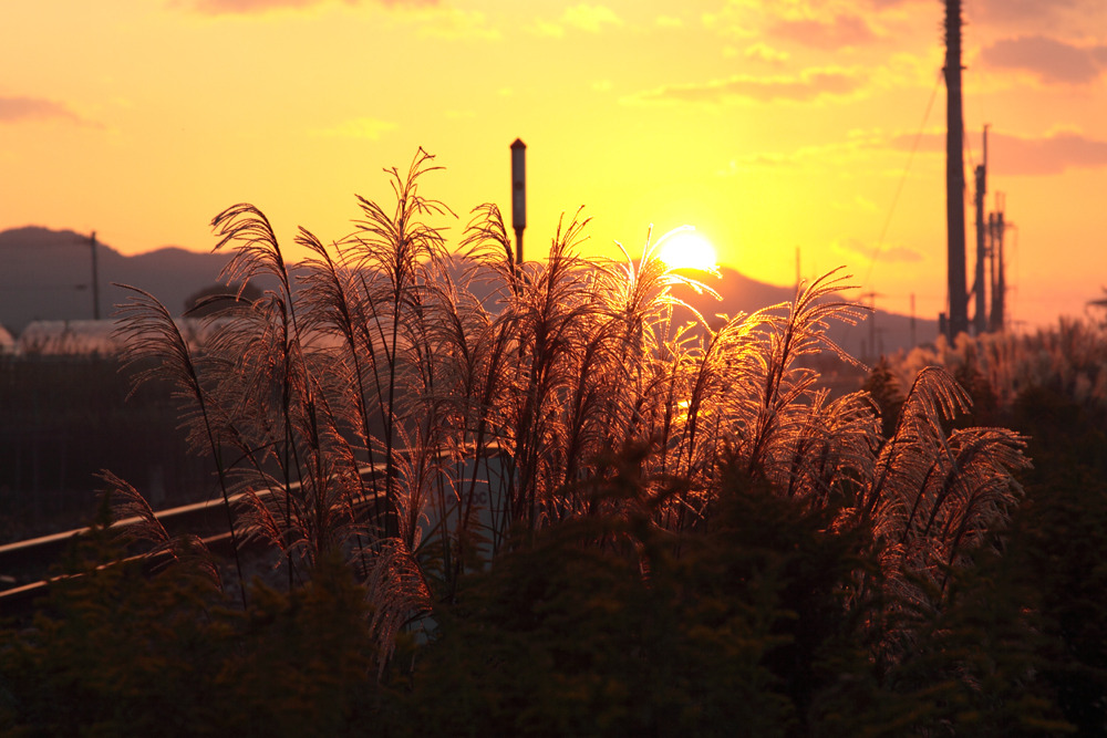 今日の夕日