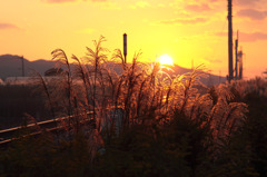 今日の夕日