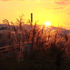 今日の夕日