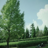 お昼寝日和