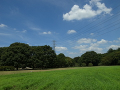 Koganei Park