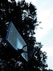 Koganei Park