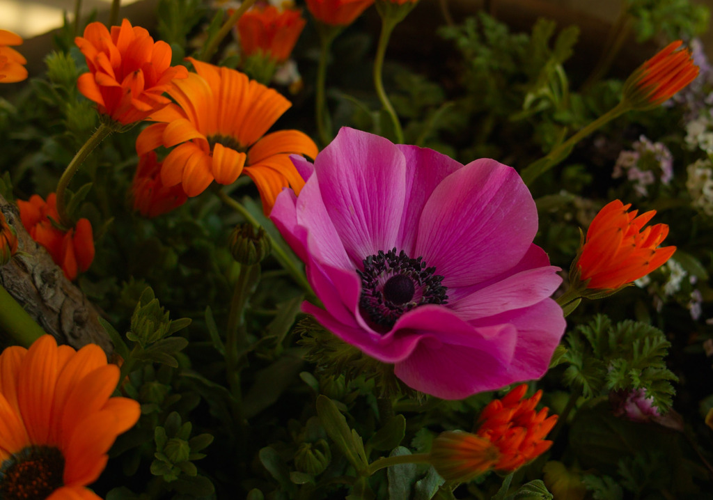 花