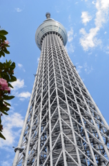 見上げてごらん