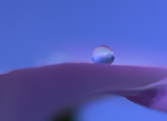 おぼろげなるもの