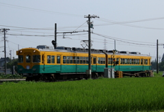 かぼちゃ君～♪　おはよう！