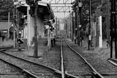 どっちから電車君は来るのかな？