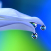 心海ｄｒｏｐｓ