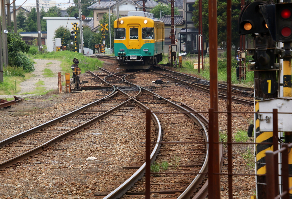 会いに来ました～♪