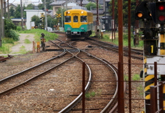 会いに来ました～♪