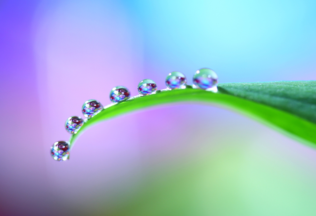 心海ＤＲＯＰＳ