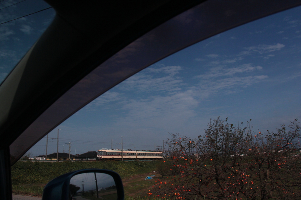 いたるところに電車君