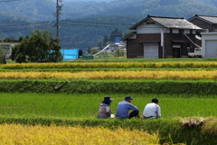 背中