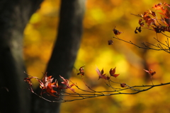 もう終わりですか？