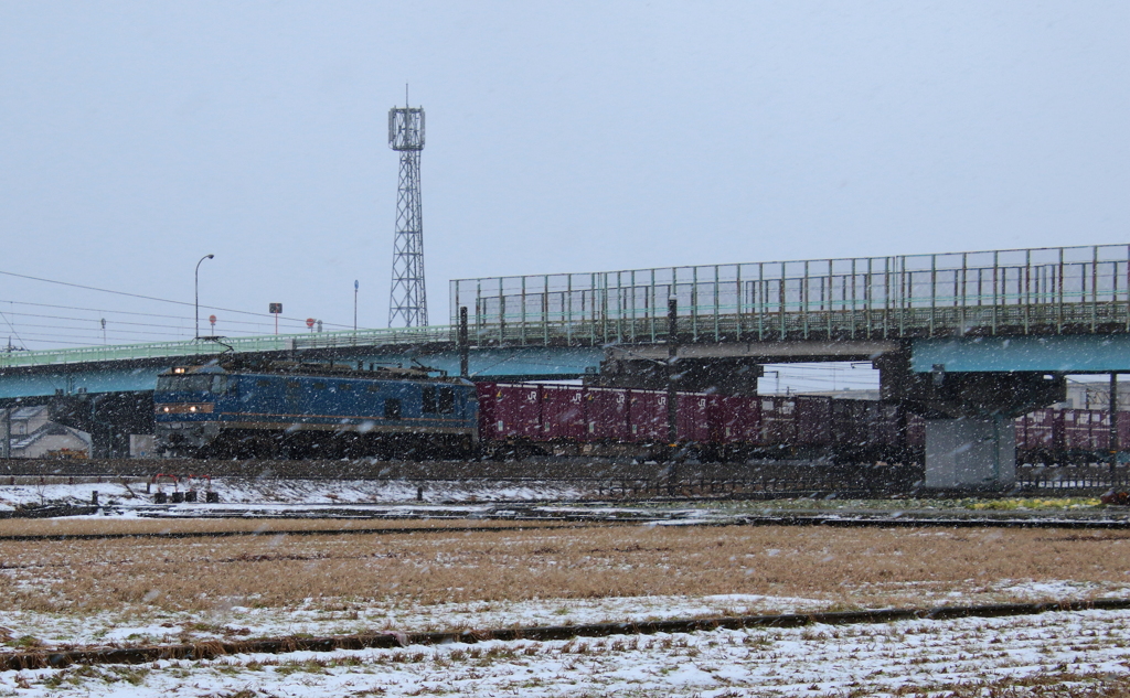 降りしきる雪・・・