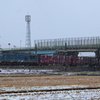 降りしきる雪・・・
