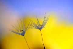 未来へと・・・