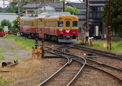 ダブルデッカー君～♪　大好きなんだ！