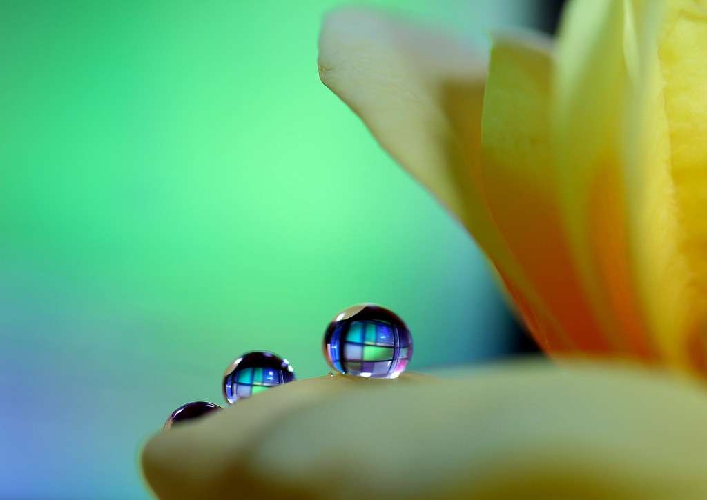 心海ＤＲＯＰＳ