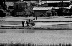 時代・・・めぐる季節