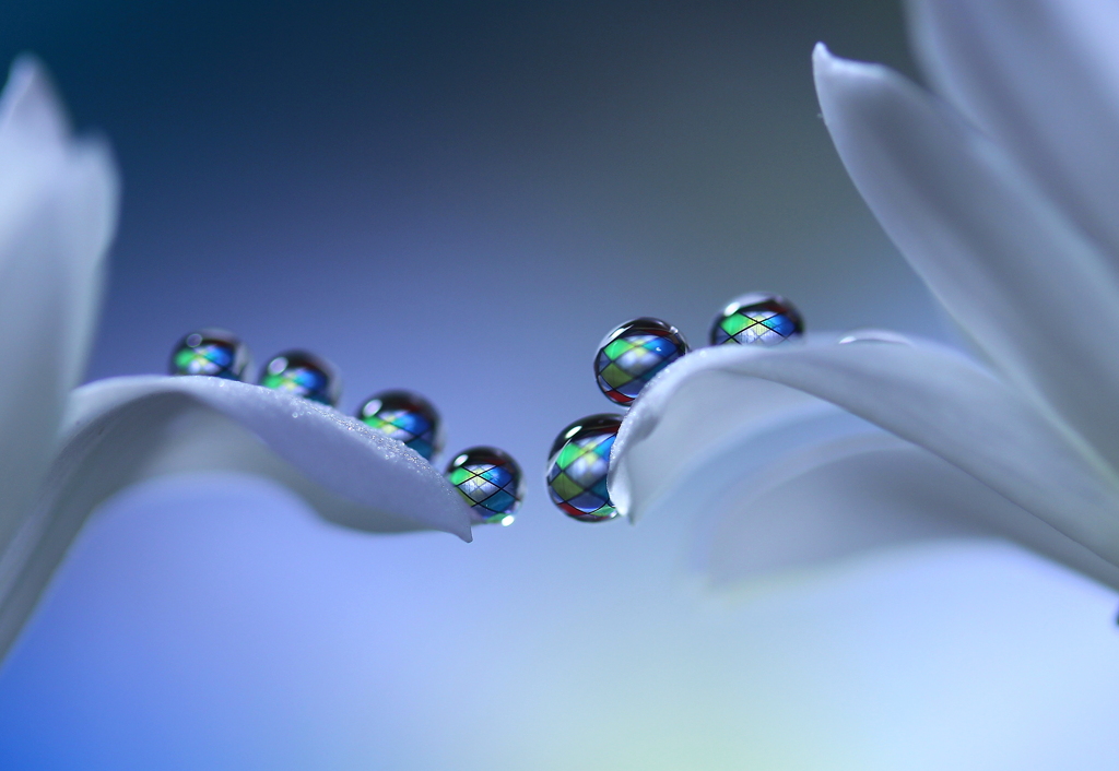 心海ＤＲＯＰＳ・・・憧れ