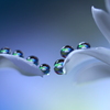心海ＤＲＯＰＳ・・・憧れ