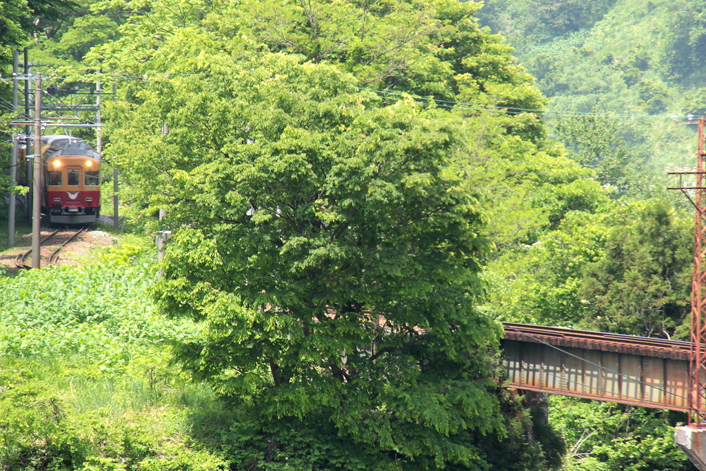 ダブルデッカー君が来たよ♪～3