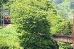 ダブルデッカー君が来たよ♪～3