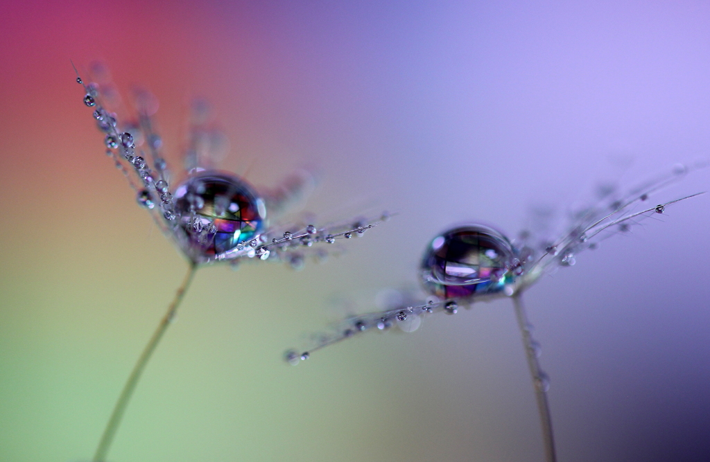 心海ＤＲＯＰＳ・・・留まることのない時の中で~♪
