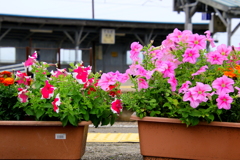 花のある駅