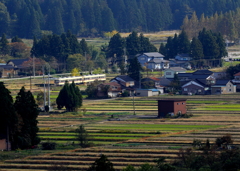 穏かな日に