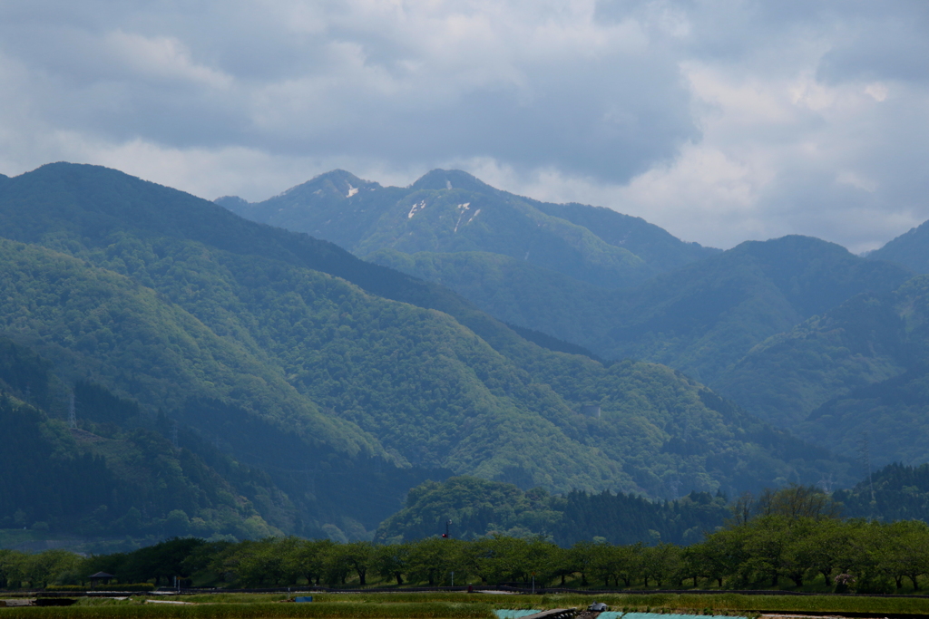 山々と葉桜並木