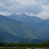 山々と葉桜並木