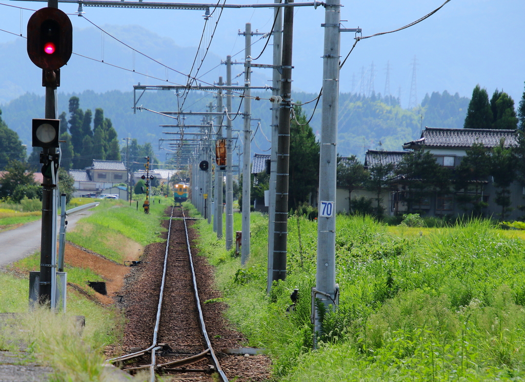 かぼちゃ君登場～♪