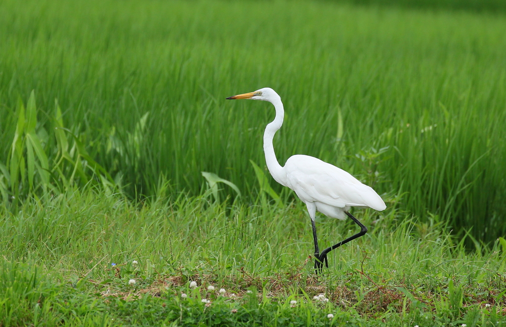 ララララ~ラ♪　鼻歌が聞こえるよ