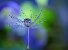 指揮者のように・・・