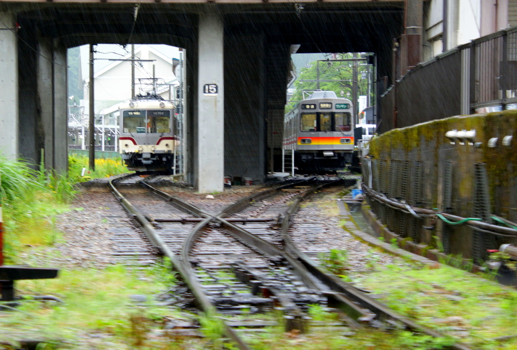 雨の日の電車君たち