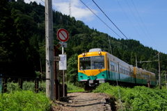 かぼちゃ君~♪