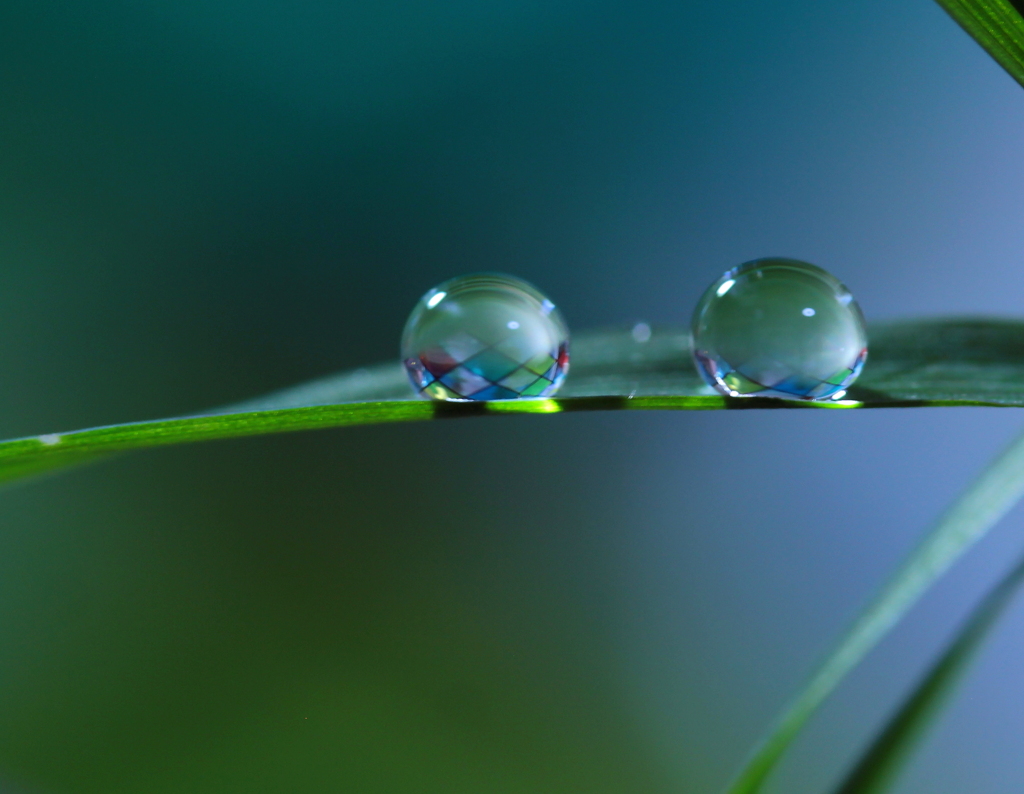 心海ＤＲＯＰＳ　6