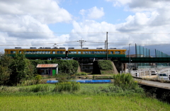 かぼちゃ君～♪