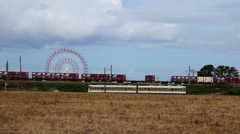 ダイコン君と貨物と観覧車