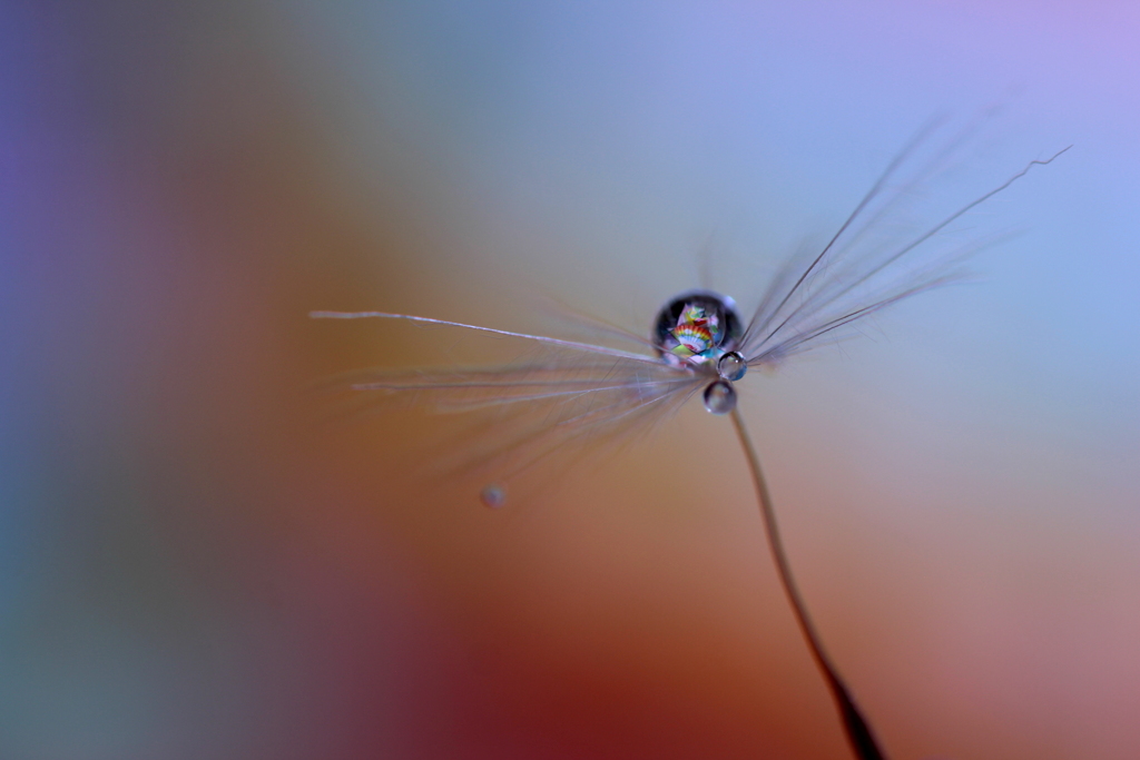 origami ドロップ (drop)