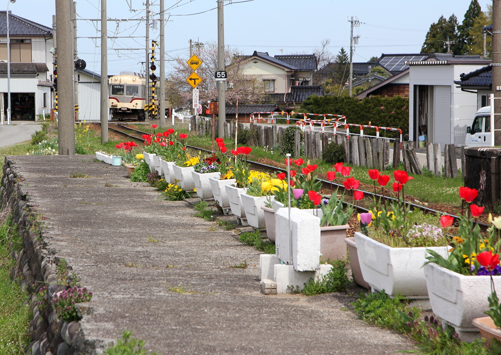花を見ながら待ってるよ～♪
